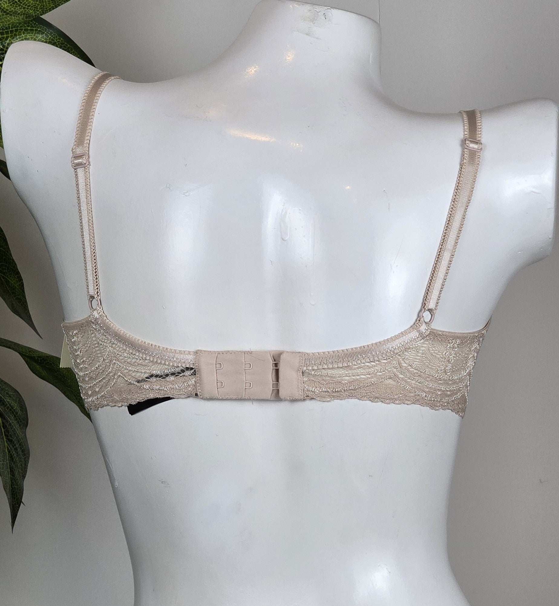 Elle Macpherson Long Long Ago Underwired Bra