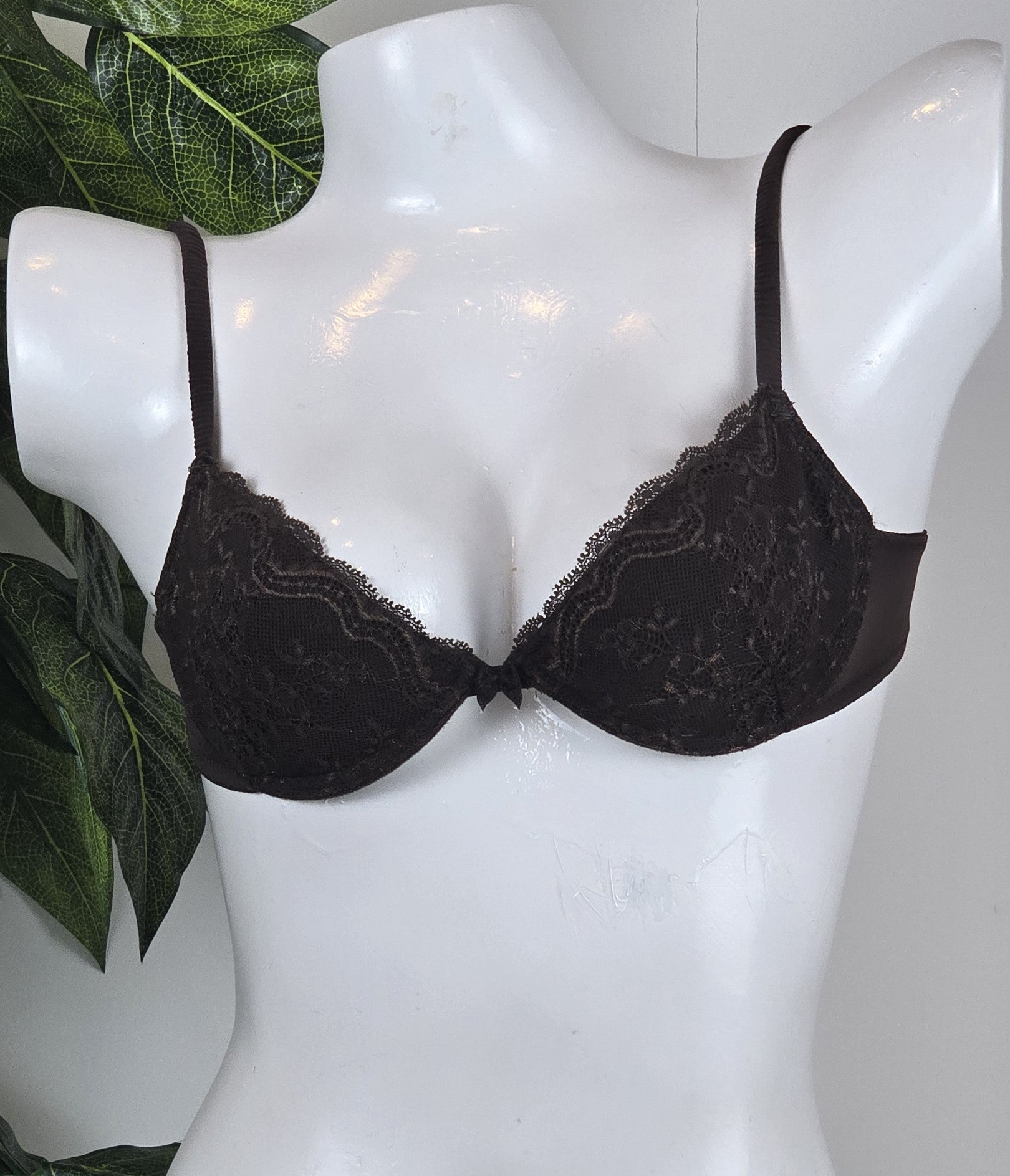 Intimissimi All Over Laced Padded Bra